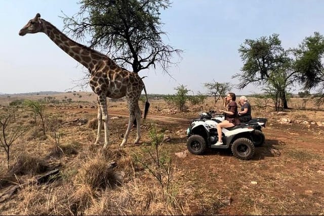 Visiting the giraffe on the quad bikes